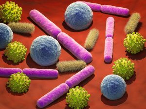 bacteria may protect against cancer
