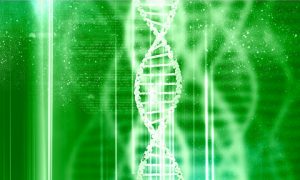 Genes and Epigenetics