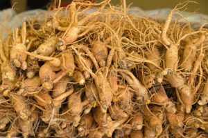 ginseng and cancer