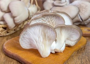oyster mushroom and cancer